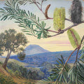 Marianne North Banksia of Tasmania S Art A4 Photo Print