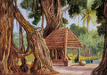 Marianne North Banyan Tree at Passu Gulag near Diocio Java Art A4 Photo Print