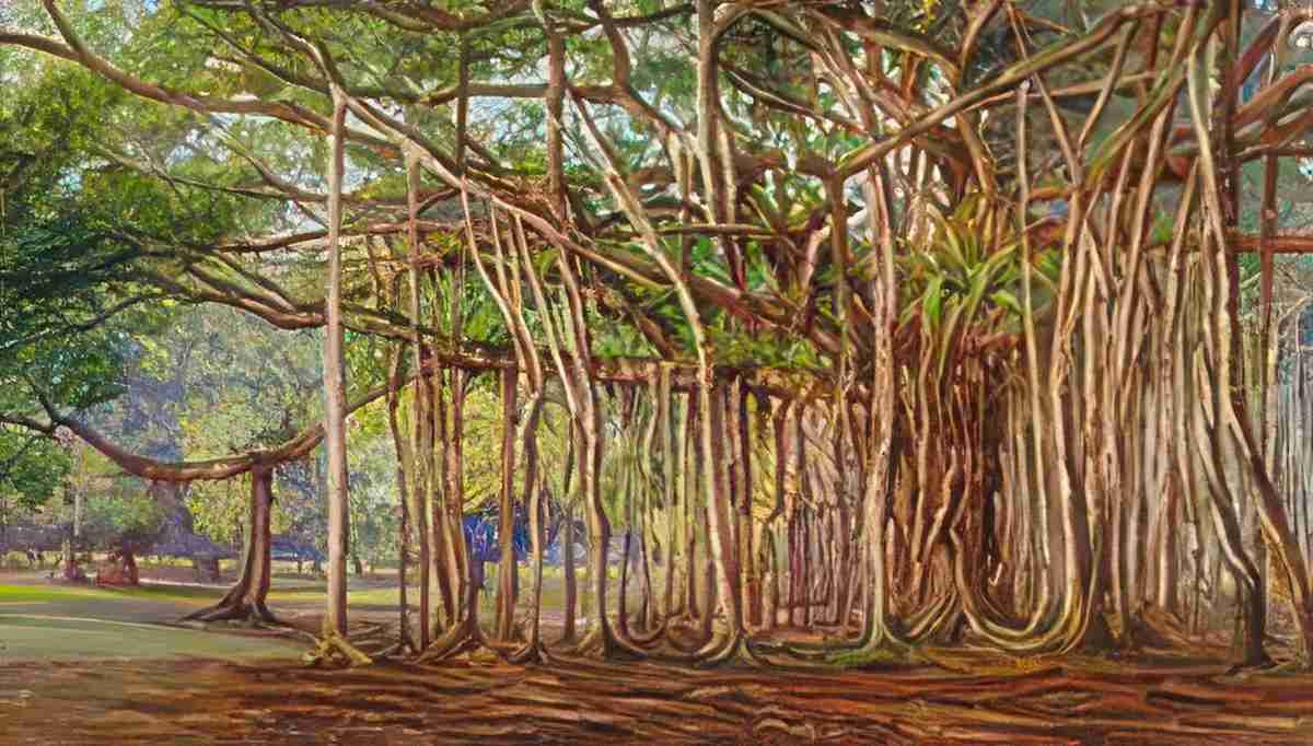 Marianne North Banyan Trees at Buitenzorg Java Art A4 Photo Print