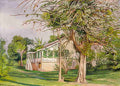 Marianne North Bermuda Mount Jamaica Art A4 Photo Print