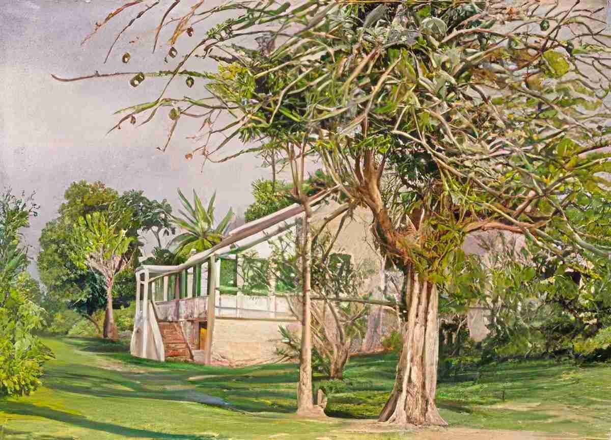 Marianne North Bermuda Mount Jamaica Art A4 Photo Print