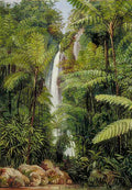 Marianne North Cascade at Tji Boddas Java Art A4 Photo Print