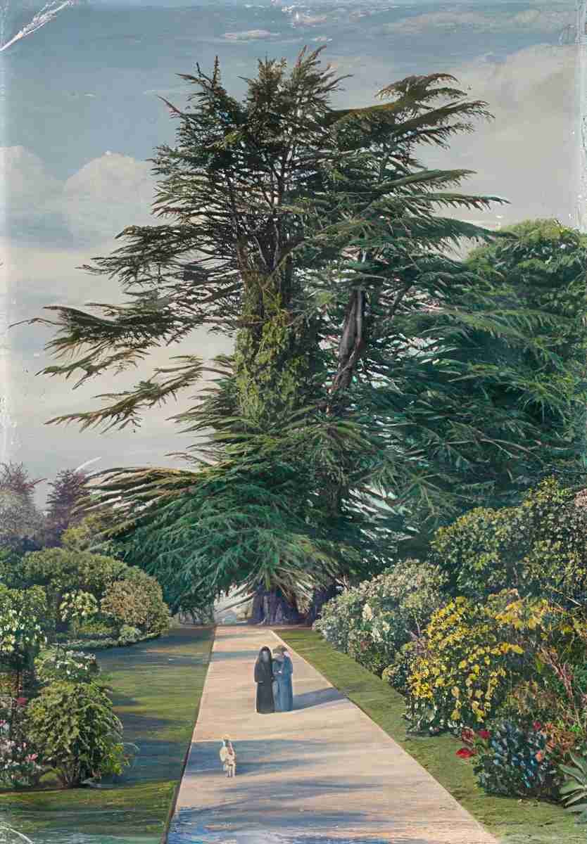 Marianne North Cedar Path Alderley Garden Gloucestershire S Art A4 Photo Print