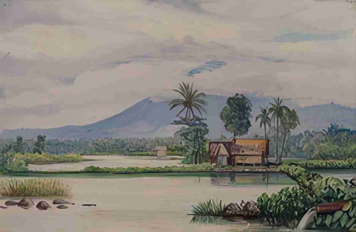 Marianne North Chi Panas Java S Art A4 Photo Print