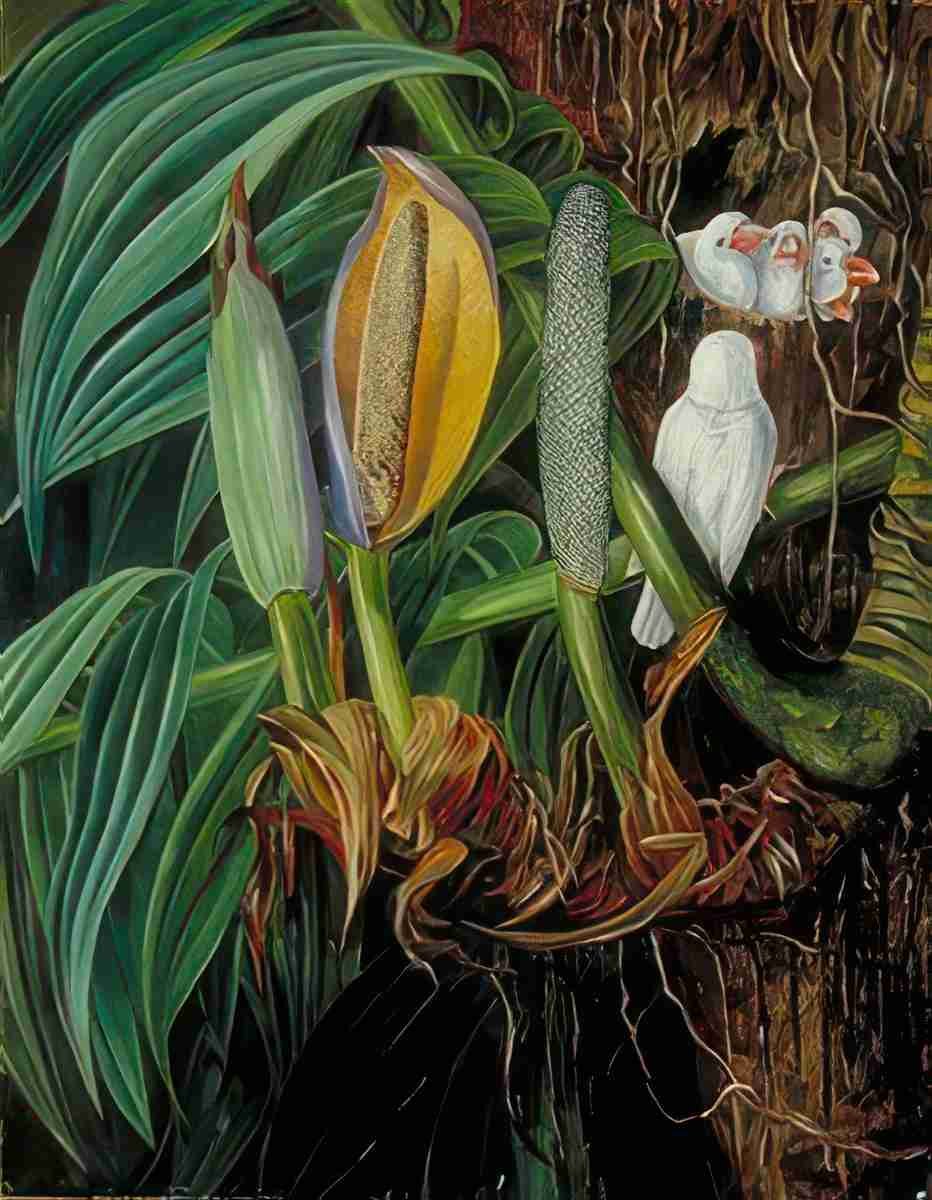Marianne North Climbing Aroid a Nest of White Sparrows Java Art A4 Photo Print