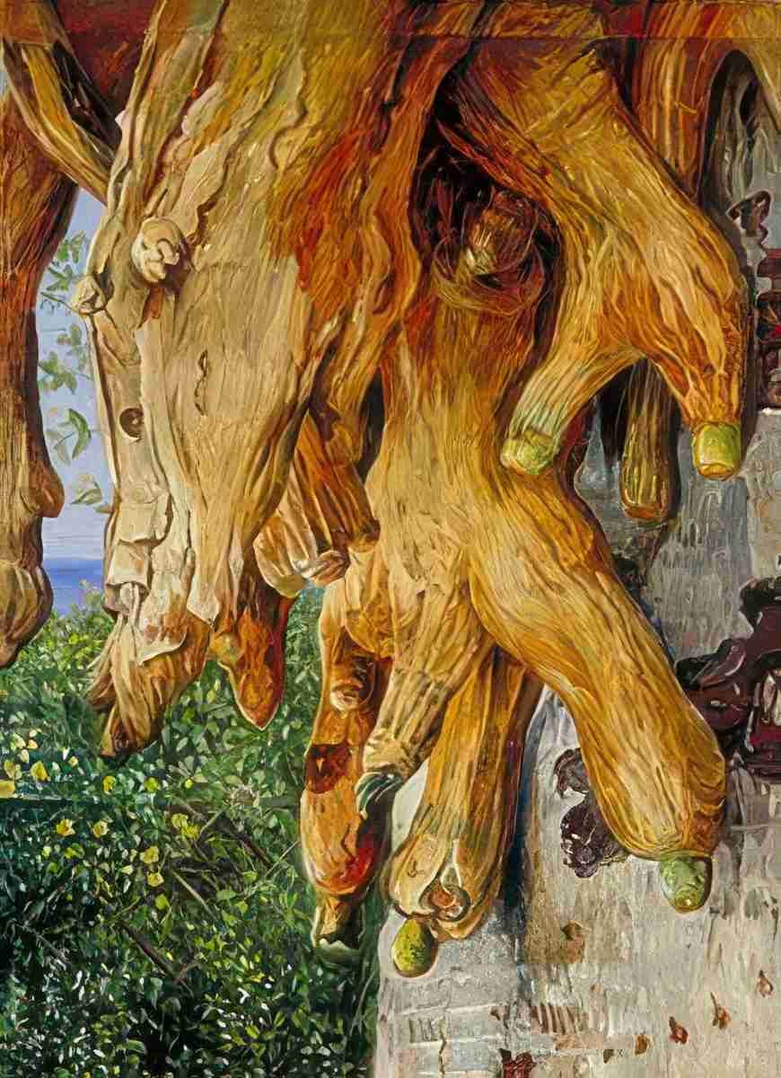 Marianne North Cluster of Air Roots of a Dragon Tree Teneriffe Art A4 Photo Print