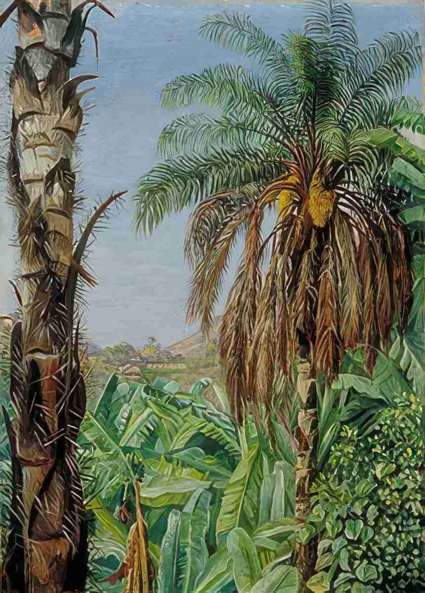 Marianne North Cocoera Palms Bananas Morro Velho Brazil Art A4 Photo Print