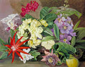 Marianne North Cultivated Flowers in Jamaica Art A4 Photo Print