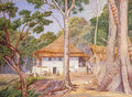 Marianne North Dr Mrs Hoad at Home in Praslin Seychelles Art A4 Photo Print