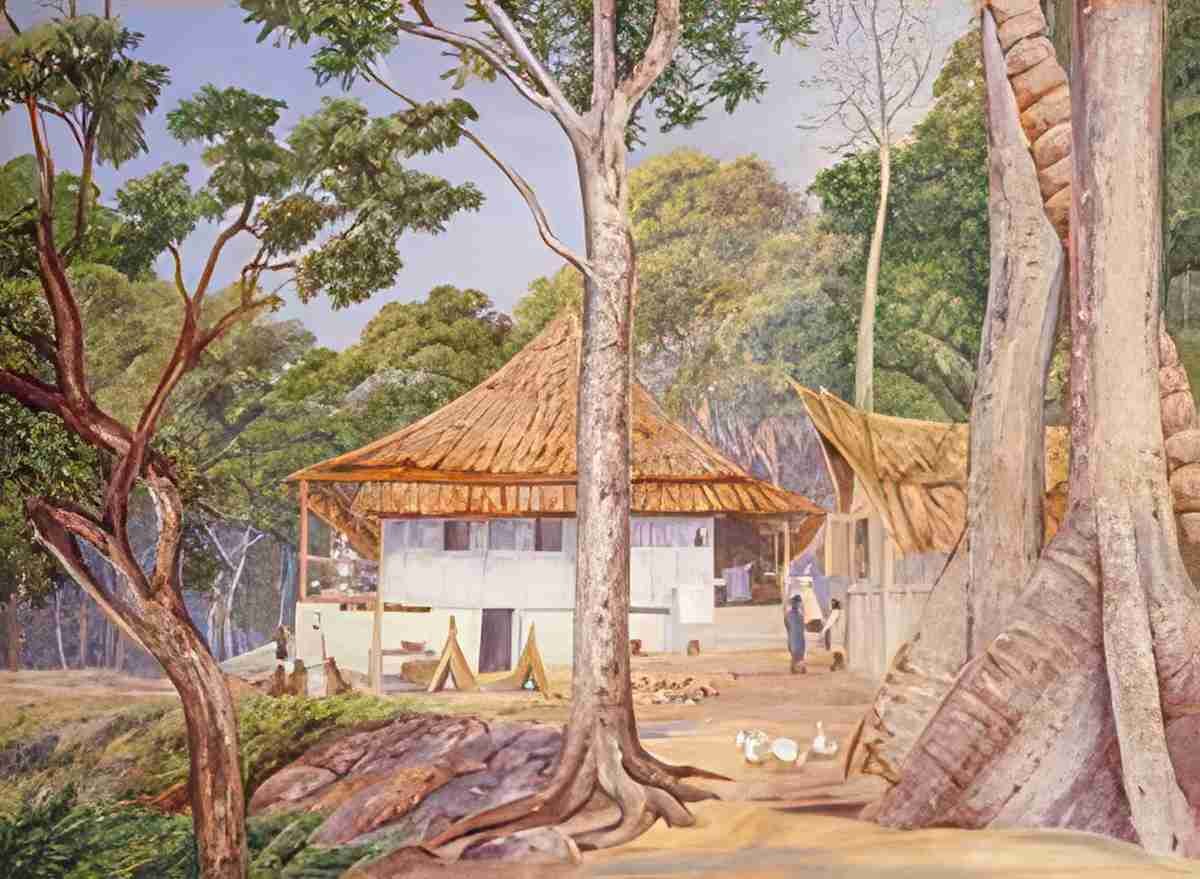 Marianne North Dr Mrs Hoad at Home in Praslin Seychelles Art A4 Photo Print