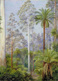 Marianne North Fernshaw Victoria Art A4 Photo Print