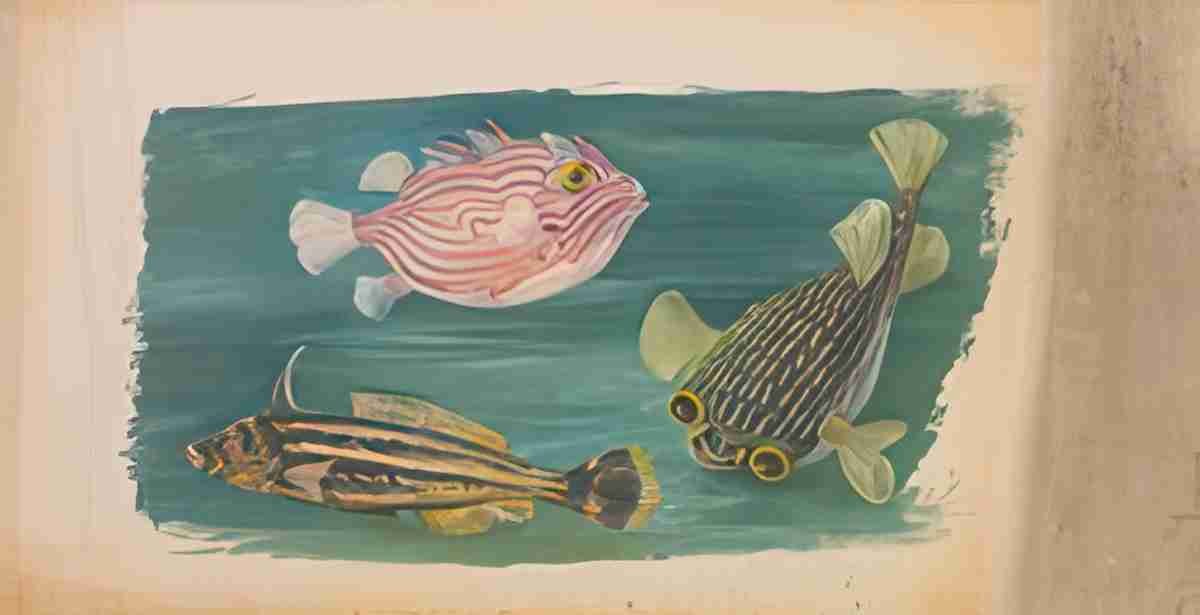 Marianne North Fishes S Art A4 Photo Print