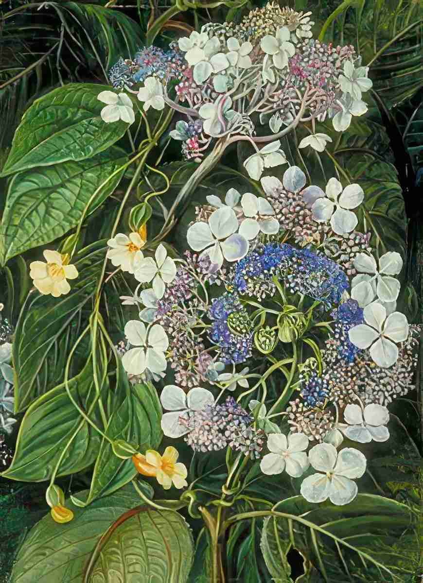 Marianne North Flowers of Darjeeling India Art A4 Photo Print