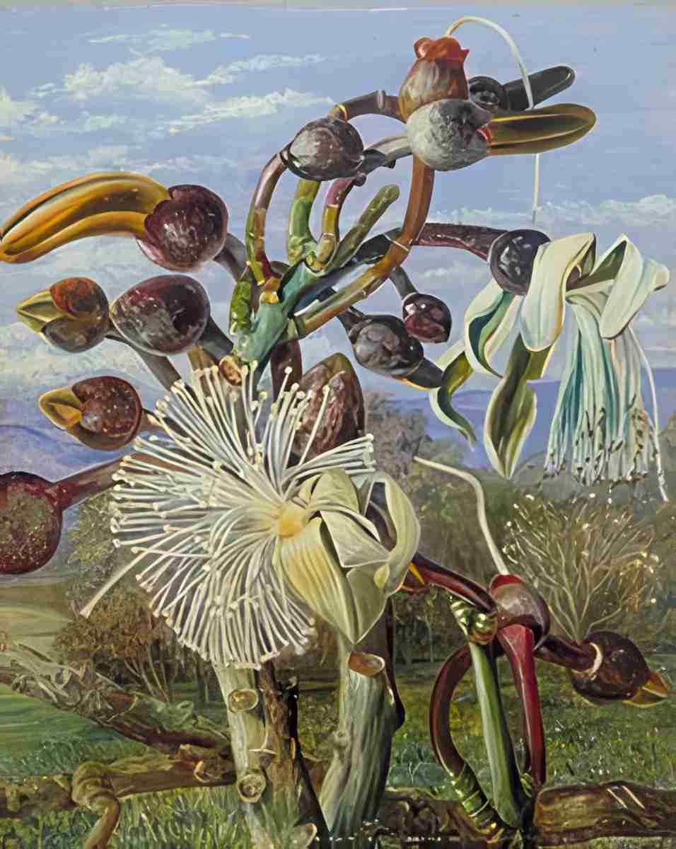 Marianne North Flowers of a Brazilian Forest Tree Art A4 Photo Print