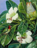 Marianne North Foliage Flowers of a Forest Tree of Java Art A4 Photo Print