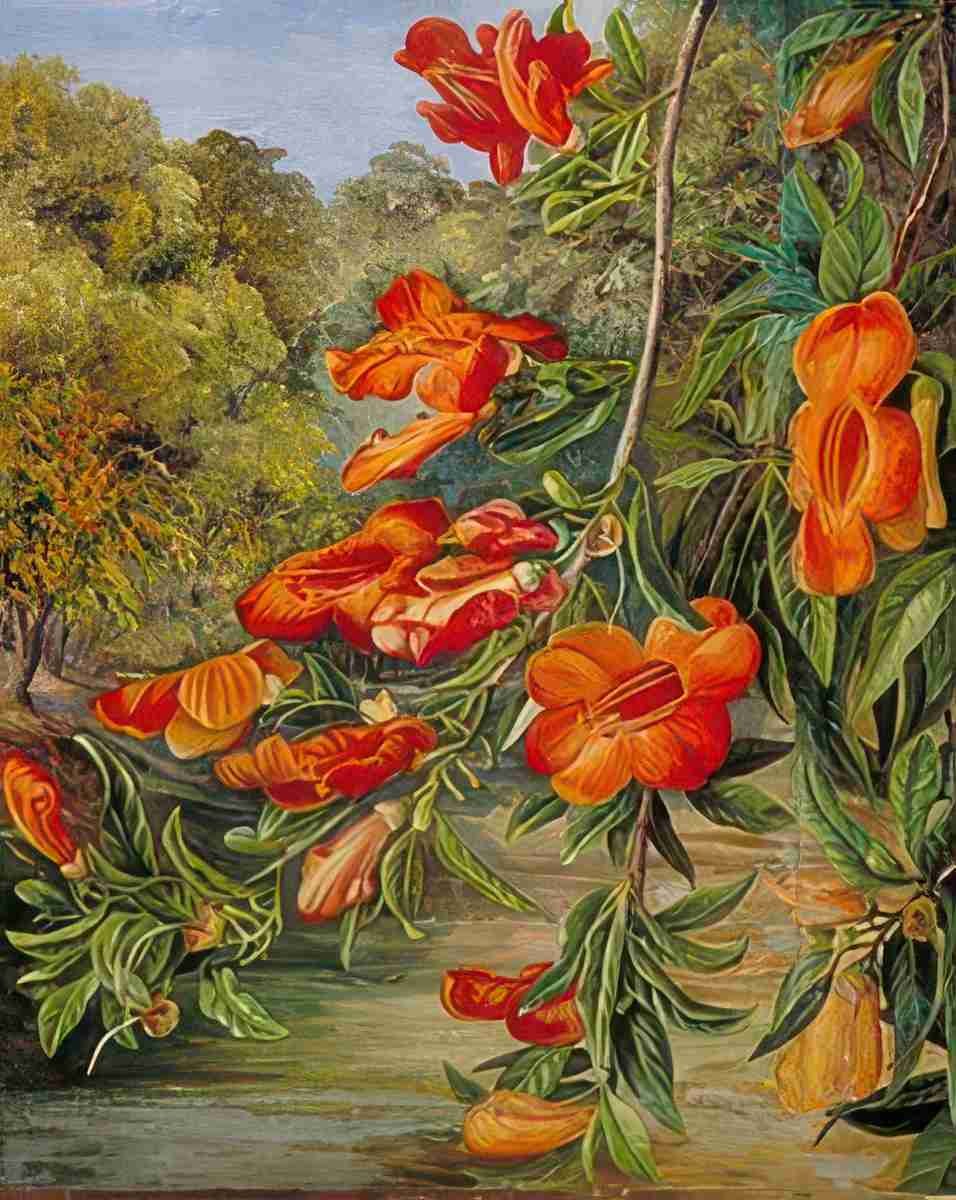 Marianne North Foliage Flowers of an Indian Tree Art A4 Photo Print