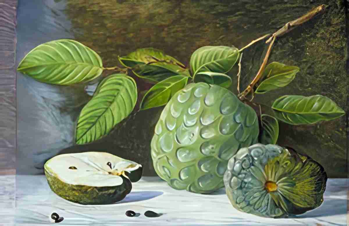 Marianne North Foliage Fruit of the Cherimoyer Art A4 Photo Print