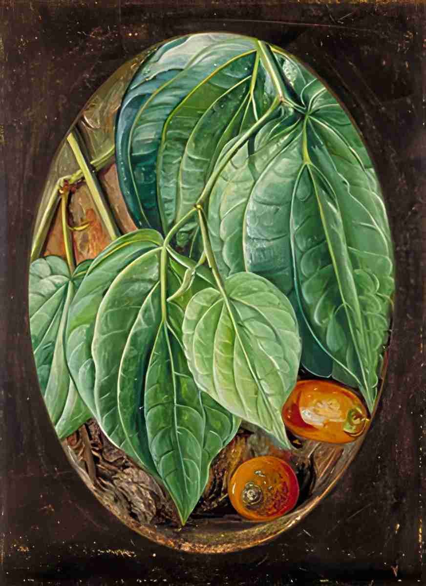 Marianne North Foliage of Betel Pepper Areca Nuts Art A4 Photo Print