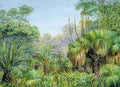 Marianne North Forest Scene in West Australia Art A4 Photo Print