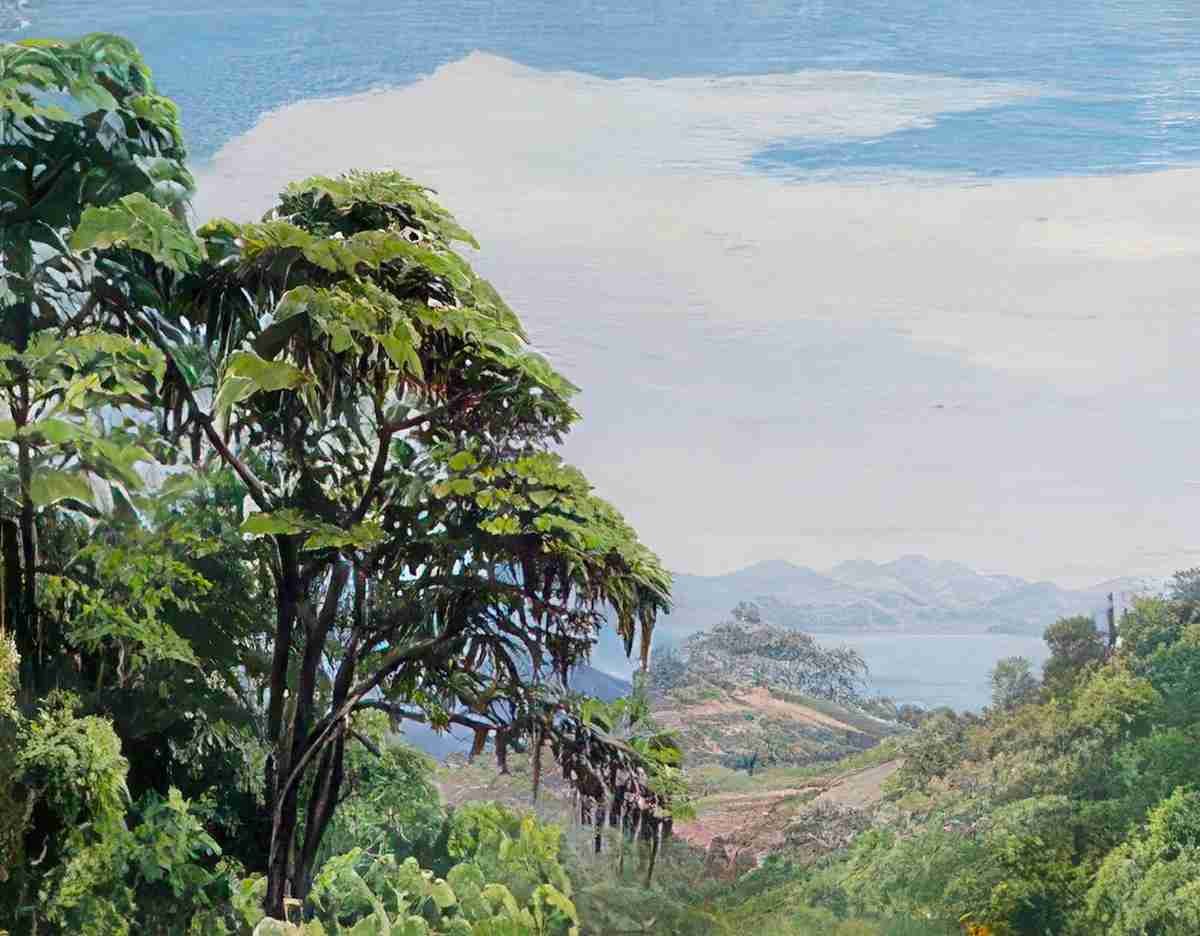 Marianne North From Acqueduct Road Rio Brazil S Art A4 Photo Print