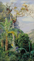 Marianne North Great Cotton Tree Jamaica Art A4 Photo Print
