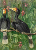 Marianne North Great Hornbill Birds S Art A4 Photo Print