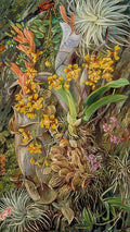 Marianne North Group of Epiphytal Orchids Bromeliads Brazil Art A4 Photo Print