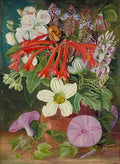 Marianne North Group of Natal Flowers Art A4 Photo Print