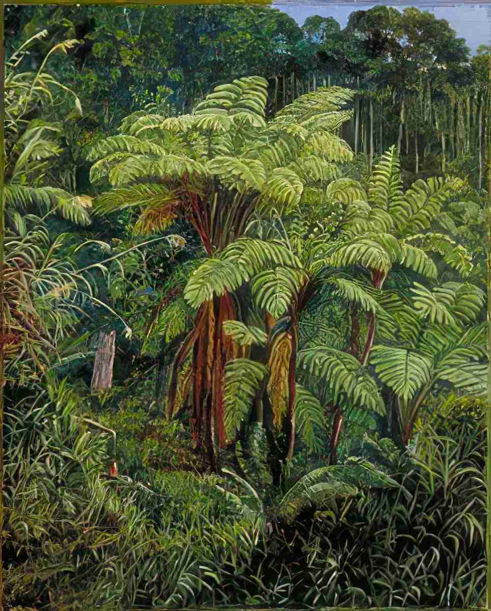 Marianne North Group of Tree Ferns around the Spring at Matang Sarawak Borneo Art A4 Photo Print
