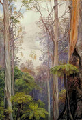 Marianne North Gum Trees Tree Ferns Victoria Art A4 Photo Print