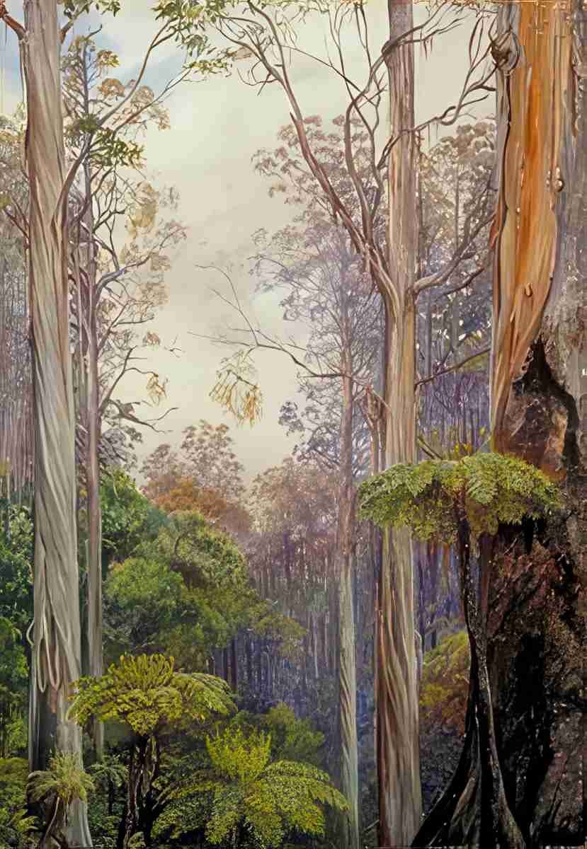 Marianne North Gum Trees Tree Ferns Victoria Art A4 Photo Print