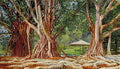 Marianne North India Rubber Trees at Buitenzorg Java Art A4 Photo Print
