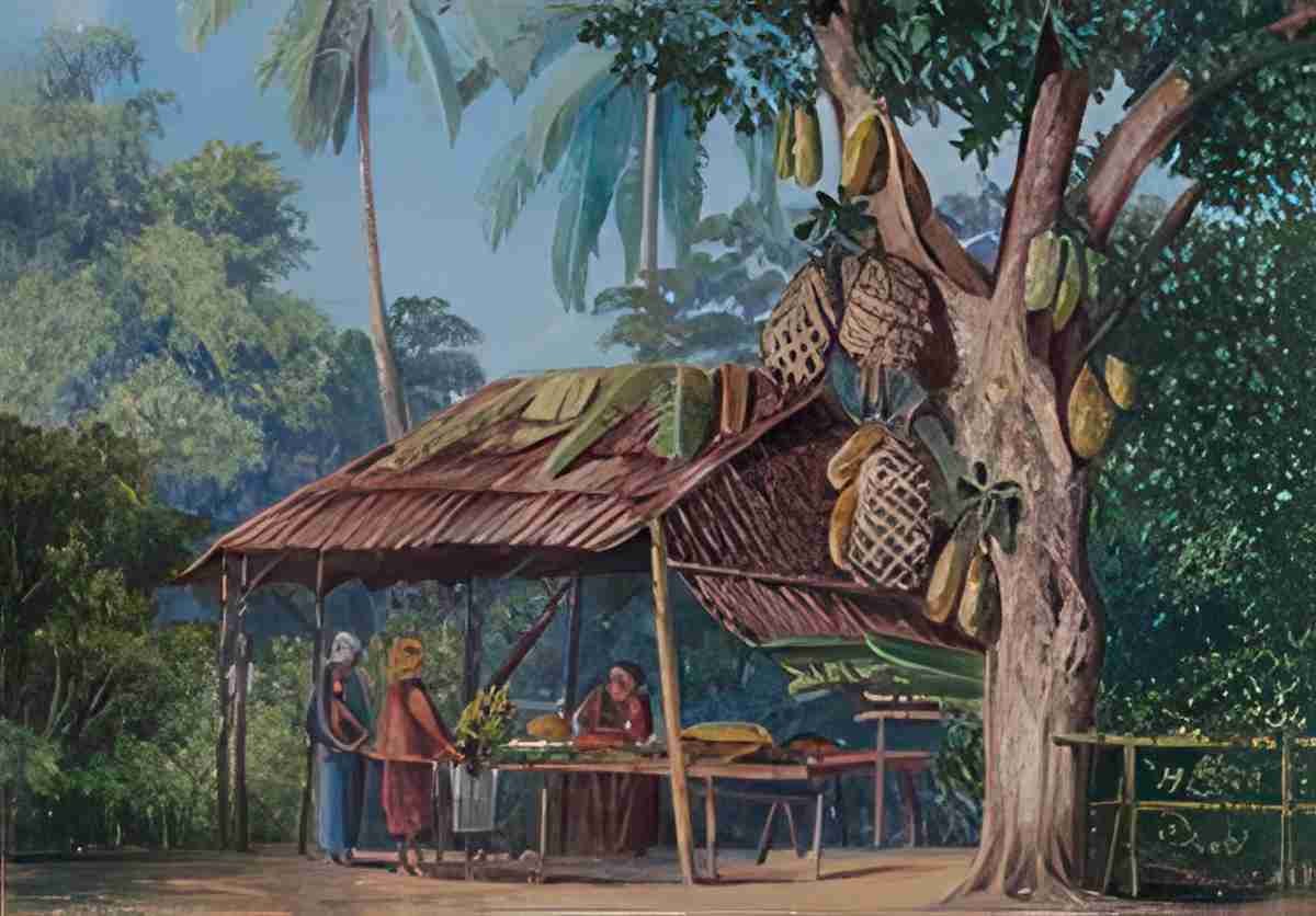 Marianne North Jack Fruit Tree Shop Malang Java S Art A4 Photo Print