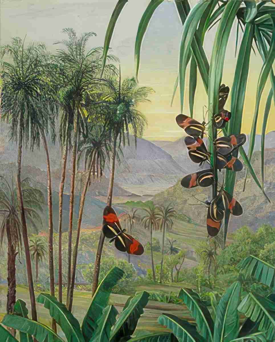 Marianne North Landscape at Morro Velho Brazil Art A4 Photo Print