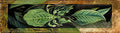 Marianne North Leaf Insect Art A4 Photo Print