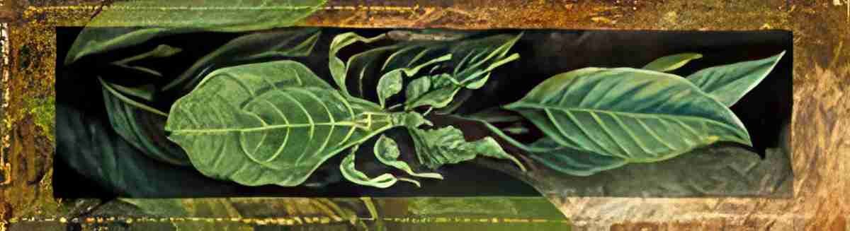 Marianne North Leaf Insect Art A4 Photo Print
