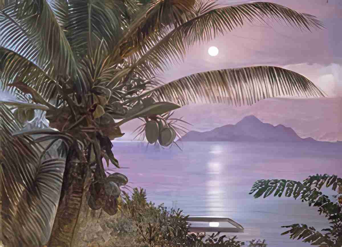 Marianne North Moon Reflected in a Turtle Pool Seychelles Art A4 Photo Print