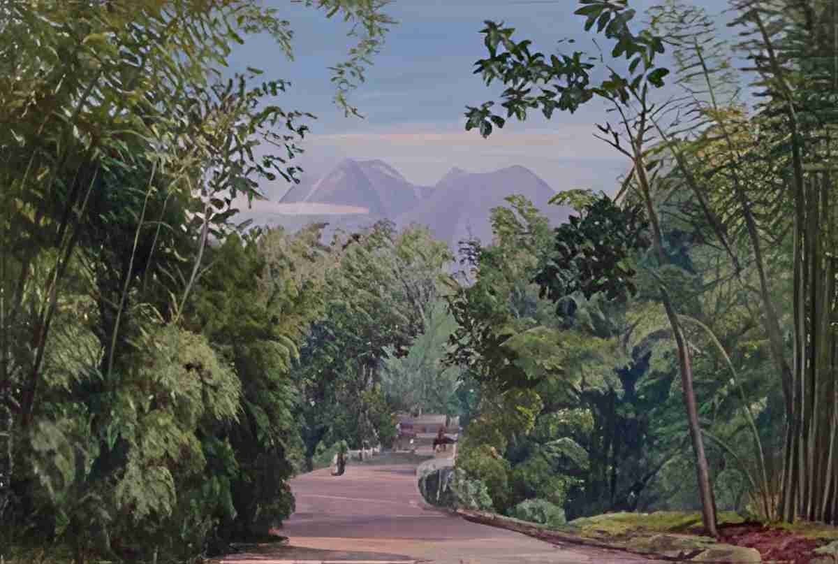 Marianne North Near Malang Java S Art A4 Photo Print