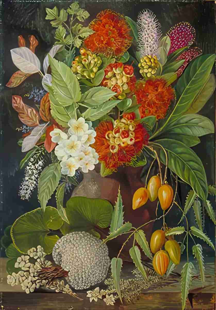 Marianne North New Zealand Flowers Fruit CD Art A4 Photo Print