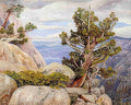 Marianne North Old Cypress or Juniper Tree Nevada Mountains California Art A4 Photo Print