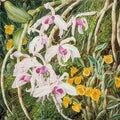 Marianne North Orchids of Tropical Asia Art A4 Photo Print