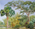 Marianne North Palm Bamboos India Rubber Trees in the c Garden Rio Art A4 Photo Print