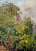 Marianne North Palms Capucin Trees etc on the Cliffs near Venns Town Mahe Art A4 Photo Print
