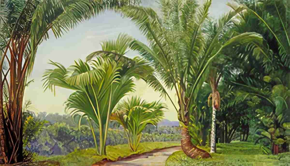 Marianne North Palms in the c Garden Buitenzorg Java Art A4 Photo Print