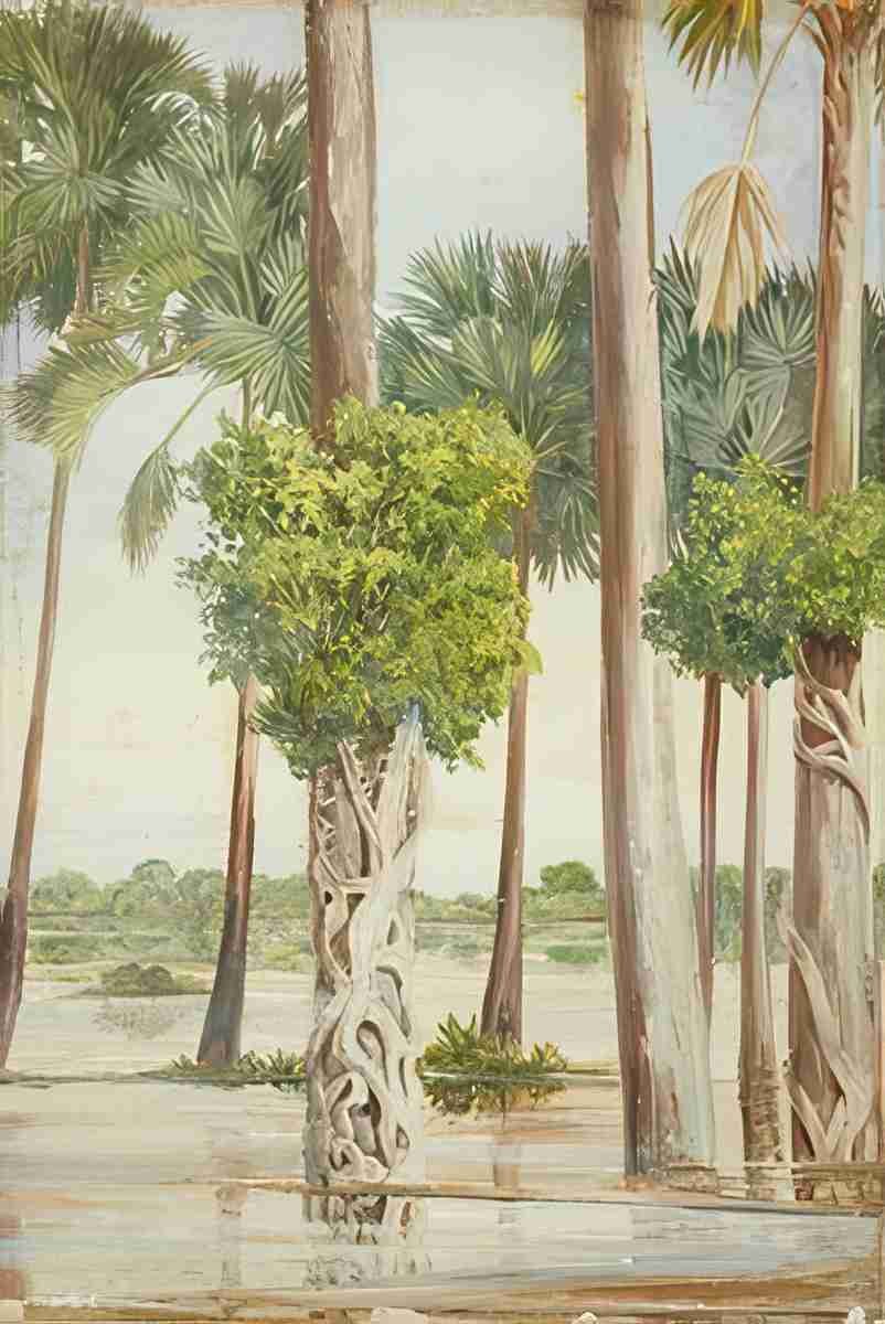 Marianne North Palmyra Palms Epiphytal Trees in Flood Time Java Art A4 Photo Print