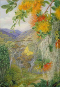 Marianne North Parasites on Beech Trees Chili Art A4 Photo Print