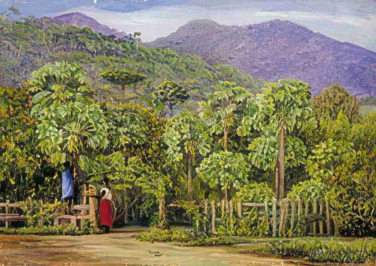 Marianne North Pawpaw Trees at Gongo Brazil Art A4 Photo Print