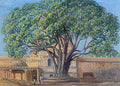 Marianne North Peepul Tree Srirangam Tamil Nadu India S Art A4 Photo Print
