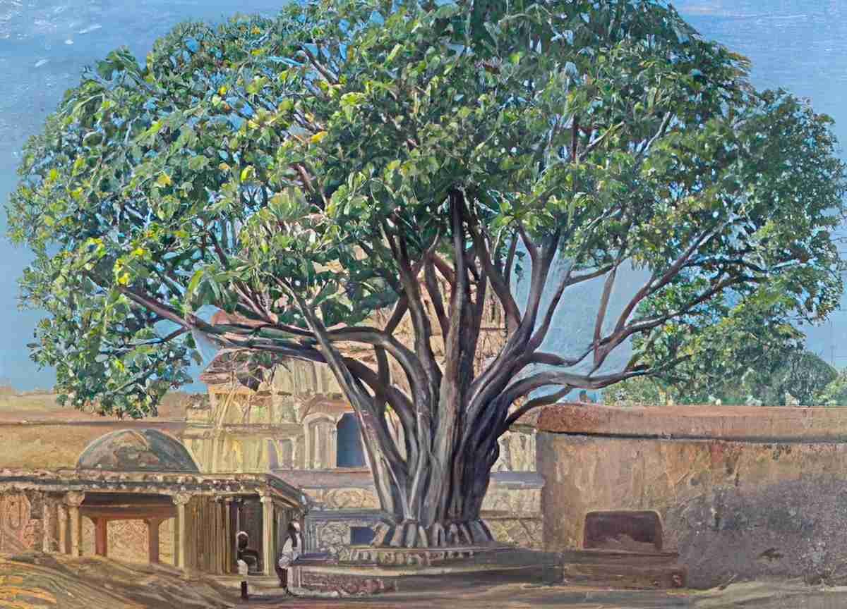 Marianne North Peepul Tree Srirangam Tamil Nadu India S Art A4 Photo Print