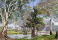 Marianne North Plant Animal Life at Mudgee New South Wales Art A4 Photo Print